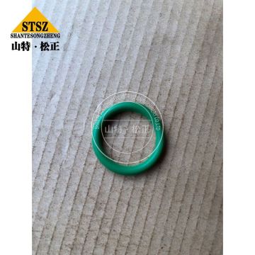 4VBE34RW3 Ersatzteile O Ring Seal 3892095