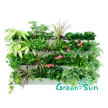 hydroponics/ hydroponc grow/hydroponic growing