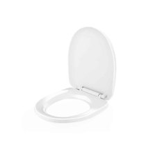 plastic injection toilet seat cover molds