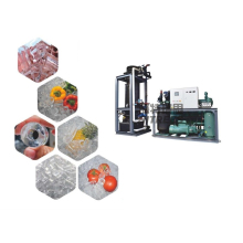 Stainless Steel Tube Ice Machine: High Output Ice Making Machinery Price