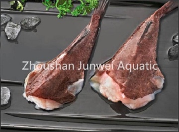 hot sale frozen monkfish for sale