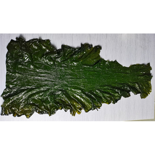 Seaweed Food Seetang First Cut Board