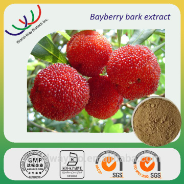 Bayberry extract free sample HACCP certified plant extract natural anti-oxidant myricetin bayberry fruit extract