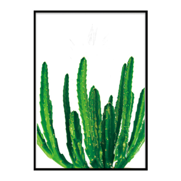 Wood  Rhipsalis wall frame