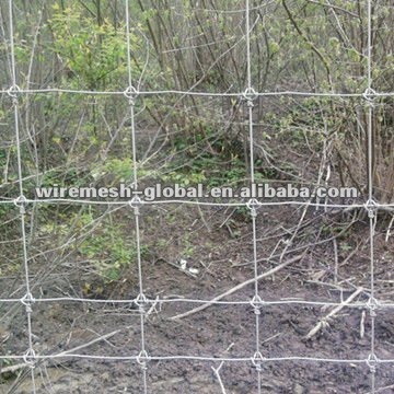 Hinge Joint Knot Farm Fence