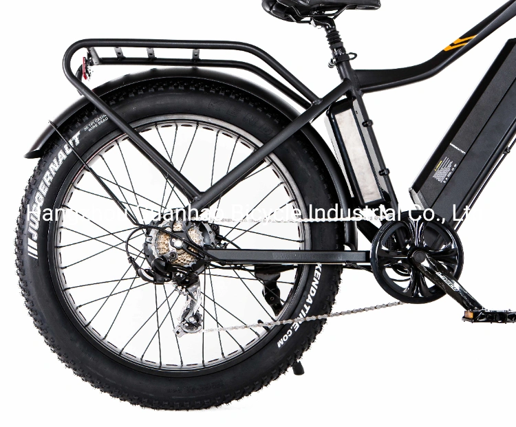 Electric Juggernaut Mdv Series 1000W Middle Motor 60V 17ah OEM/ODM Fat Tire Three Wheels Electric Bike