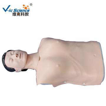 Electronic Half-body CPR Training Manikin (Male/Female)