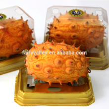 The Horned Melon Seeds Cucumis metuliferus Melano Jelly Melon Seeds For Growing