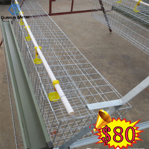 chicken cage automatic egg collect machine