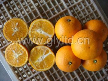 Valencia Orange