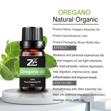 100% Pure Natural Oregano Oil Wholesale Price Diffuser Oil