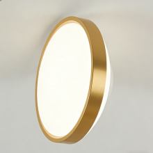 Gentle brightness home ceiling light