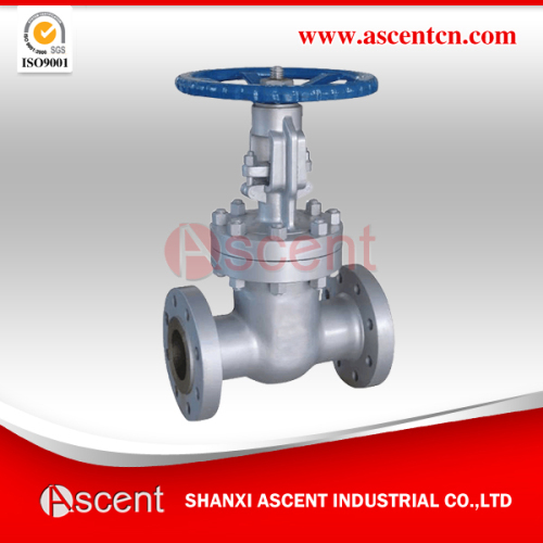 Stainless Steel Flanged Gate Valve Industrial Valve