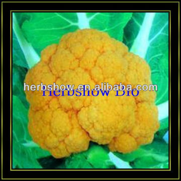 F1 Hybrid Cauliflower seeds/broccoli seeds