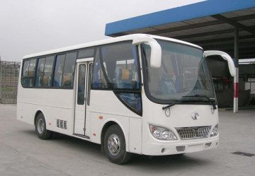 CNG Bus