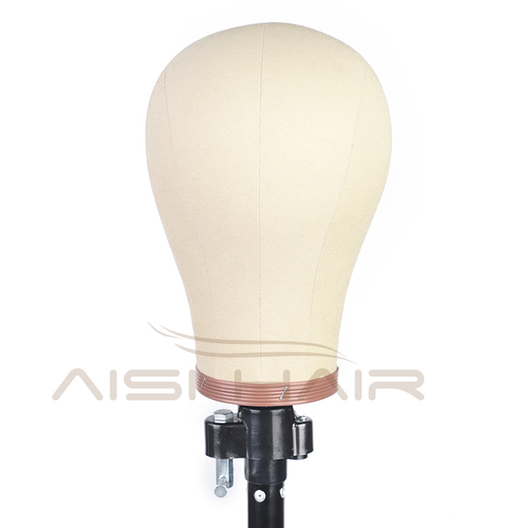 Aisi Hair Canvas Block Head Mannequin Head Weft Wig Display Style Styling Manikin Head Cork Inside Dryer Free Gifts