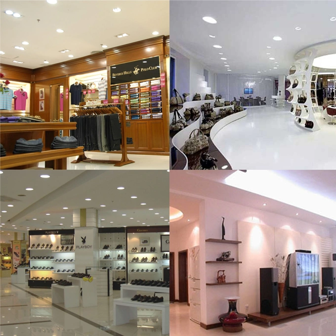 COB 20W LED Downlight for Store Lighting & Gallery Lighting