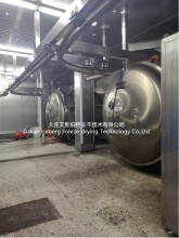 Fig Freeze Drying Machine