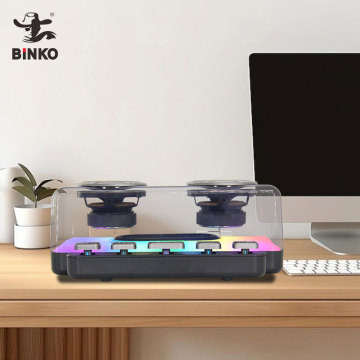 High Power Transparent Speaker - Mini Party Speaker with RGB Light for Gaming and Computers