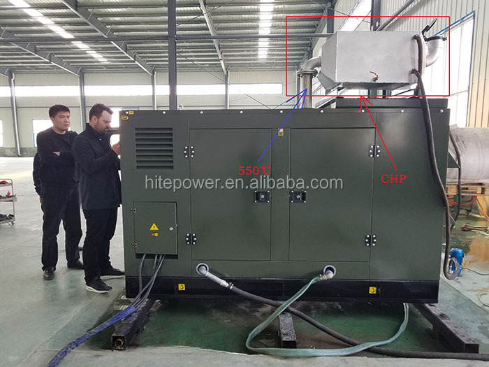 Biomass Combined Heat and Power Boiler 1mw Biomass Engine Made in China