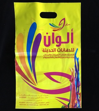 LDPE plastic shopping punch handle bag