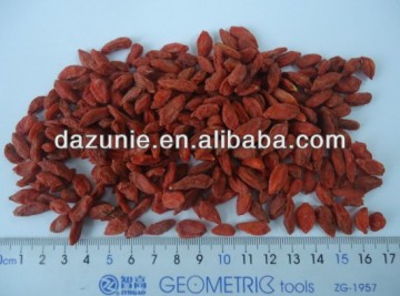 Natural Dried Goji Berry