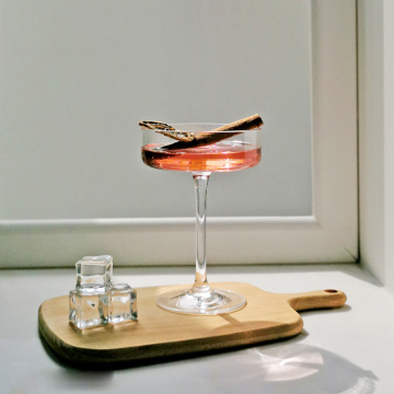 Unbreakable Tritan PC Martini Glass Cocktails