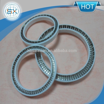 High Quality Spring Energized PTFE Seals/ Spring PTFE Sealing