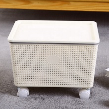 Multipurpose Large Capacity Storage Box with Lid