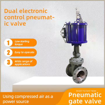 Dual electronic control pneumatic valve