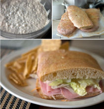 dried vital wheat gluten