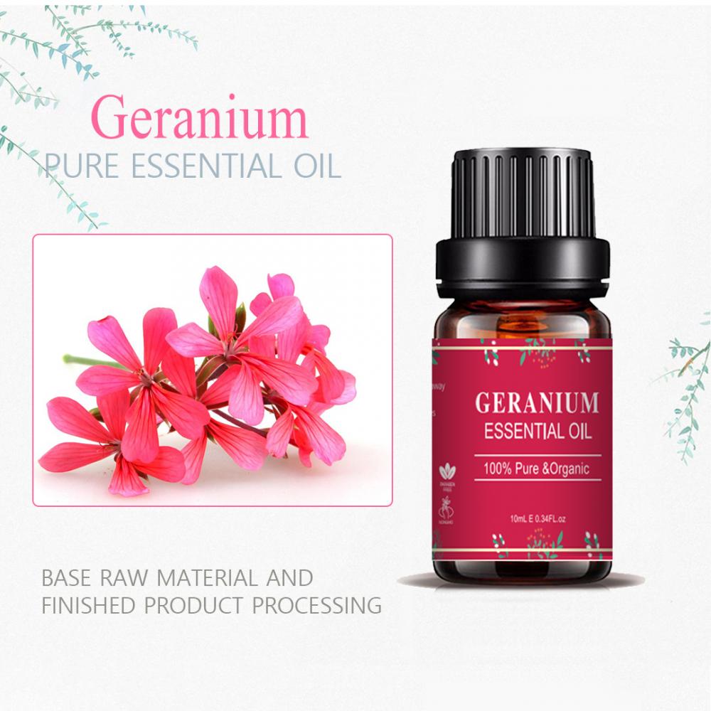 روغن اسانس Geranium روغن طبیعت برای مراقبت از بدن