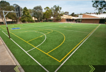 High density artificial grass/ alta densidad pasto                        
                                                Quality Choice