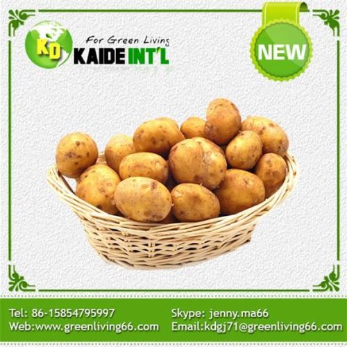 Best Farm Fresh Potatoes Factory