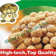 fresh mushrooms shimeji