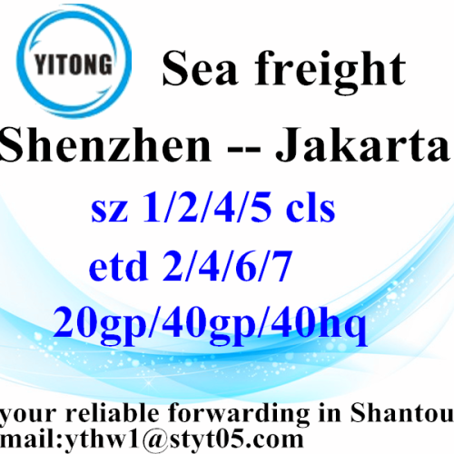 Shenzhen agente de transporte marítimo de carga a Yakarta
