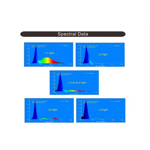 Aquarium LED Lampu Empat Channel Dimming Imitation Lumens