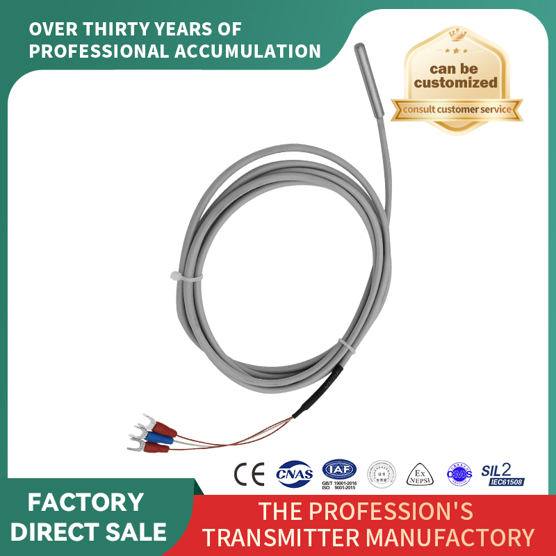 Senzor de temperatură cu rezistență termică