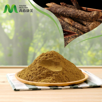 Cistanche Deserticola Extract for Man Health