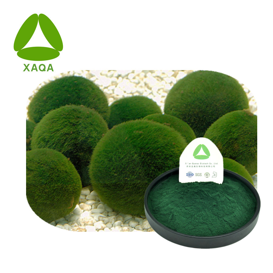 Chlorella Powder