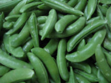 frozen edamame
