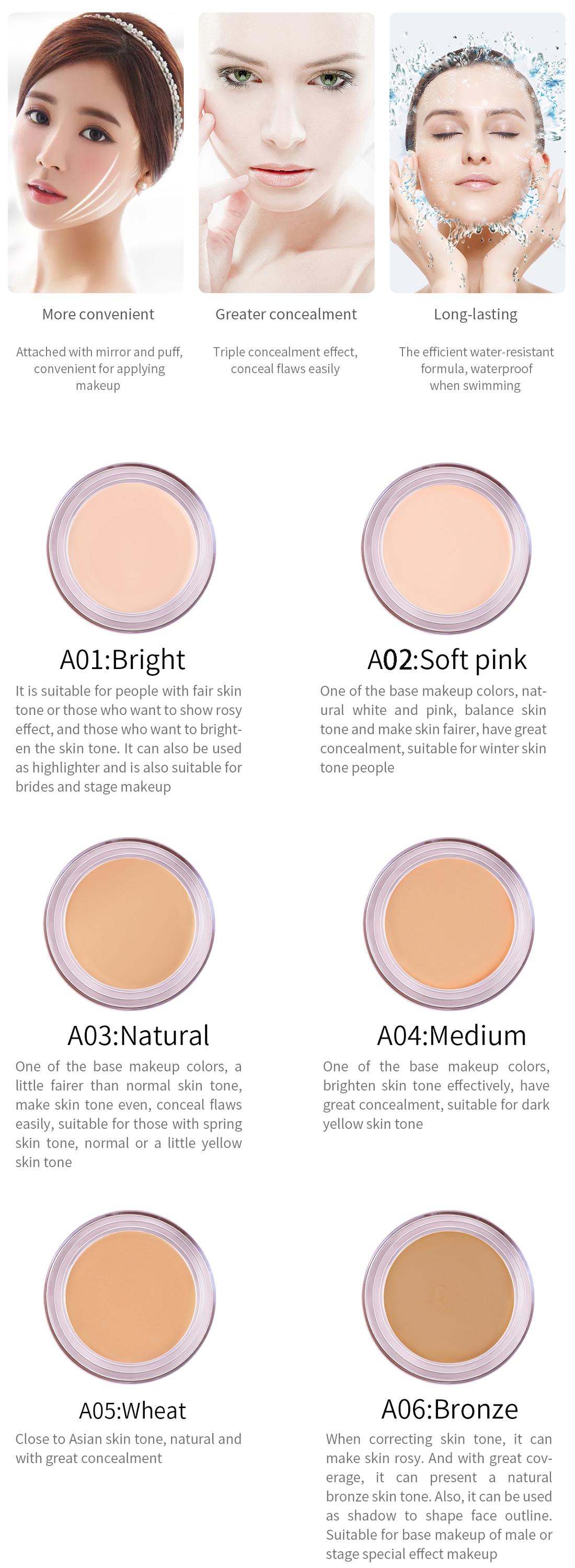 Brightening Concealer Private Label Pro Conceal Hinge