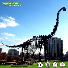 Playground Resin Dinosaur Fossil