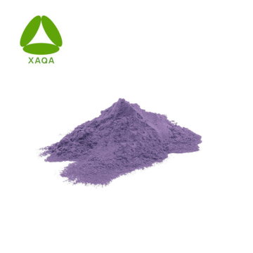 Purple Sweet Potato Extract Anthocyanins 1-25% UV Natural