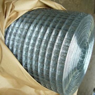 Welded Wire Mesh roll