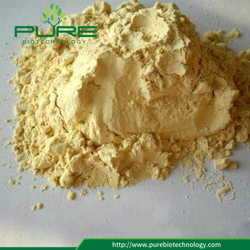 100 الطبيعية استخراج الجذر الماكا مسحوق 3 100 Natural Maca Root Extract Powder3