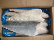 Frozen Saithe Fillet Skinon