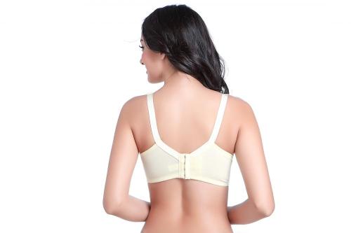 11150 Wholesale young women without steel bra underwear
