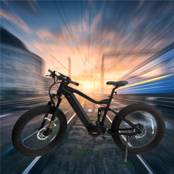 electric bike high speed and long time batry