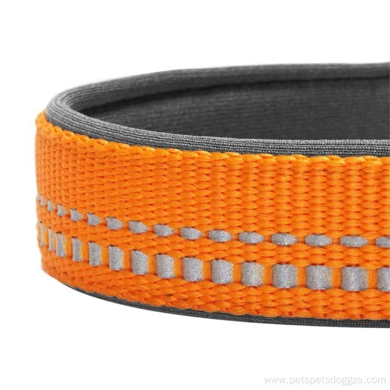 Adjustble Nylon Dog Collars Custom Training Dog Collar